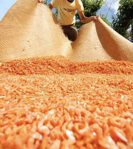 Camarones Secos sin Cabeza de Vietnam, Preparados con Langostinos Marinos Seleccionados para Salsas, Guarniciones y Producción de Platos Sabrosos - Product Image 3