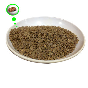 ผักชีลาว | สมุนไพรทำอาหารที่คัดสรรแล้วสำหรับการจัดหา B2B - Product Image 1