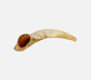 Auténtico Shofar de Cuerno de Búfalo Natural en Tono Crema, Hecho a Mano, con Textura Acanalada Tallada a Mano, Tradicional Religioso - Product Image 4