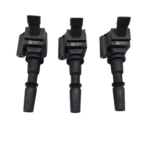 Bobine di Accensione FIAT Panda 3a Serie 55267998 463 41 162 Hybrid 1000 (12>) - Product Image 6