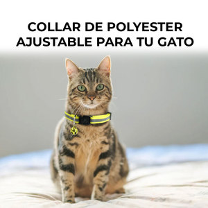 Collare LED Riflettente Moderno per Cani e Gatti, Guinzaglio in Nylon Semplice ed Elegante con Stampa Cartoon per Piccoli Animali - Product Image 2