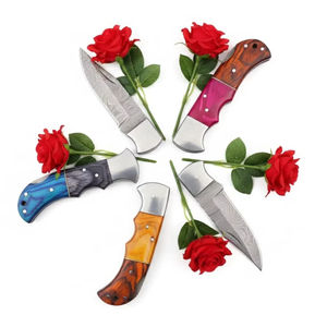 Ensemble de couteaux pliants en acier au carbone faits à la main, lames forgées sur mesure, manches en bois colorés, artisanat de qualité supérieure, léger et durable - Product Image 4
