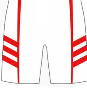 Trajes de Lucha Libre para Hombre, Sublimados, Equipo de Boxeo Internacional de Pakistán, Ropa Elástica de Artes Marciales - Product Image 4