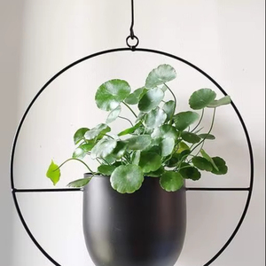 Elegante maceta de metal moderna, duradera y fuerte para espacios interiores o exteriores para exhibir plantas, hierbas, flores para jardín - Product Image 1