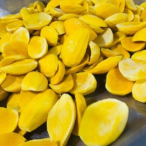 LQF Vietnam <b>Sweet</b> Frozen Mango Slices Bulk Vacuum Pack - Product Image 3