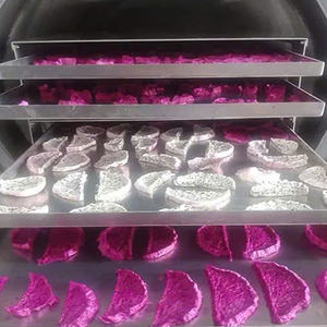 Freeze Dried Dragon Fruit Organic: Pure Freeze Fruit Goodness Natural Dried Dragon From Viet Nam - Product Image 1