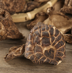 OFERTA ESPECIAL 2023: Hongo Sarcoma Imbricatus Seco de Blue Lotus, Vietnam - Product Image 3