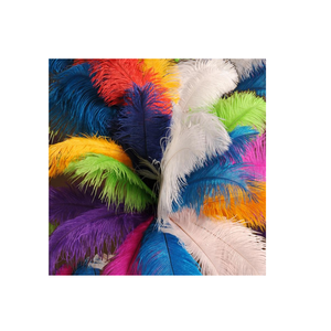 Plumas de Pavo Lavadas en Venta a Precios Bajos, Mejora tus Proyectos con Plumas de Lujo para Manualidades - Product Image 2