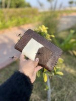 Dompet Kulit Sapi Asli Model Baru, Tas Selempang, Casing Ponsel, Warna Coklat, Dompet Kulit Gaya Barat untuk Wanita, Multifungsi