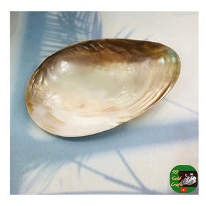 Ensemble cuillère et plat en nacre, parfait pour servir le caviar et les repas de luxe, plat rond en nacre fait à la main pour cadeaux - Product Image 1