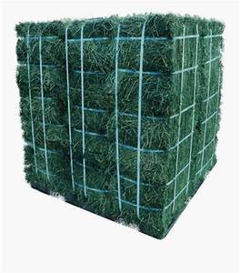 Heno de Alfalfa Seco Premium al por Mayor 2025, en Pacas, para Alimentación de Caballos y Ganado, Exportación desde Austria - Product Image 1