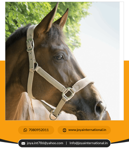 2022 Top Elling ylon alter uupplier alter ylon ITH añadido folded leece plegado - Product Image 2