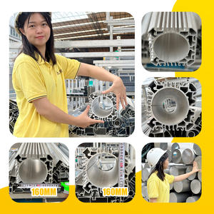 Hiệu suất cao <span class=keywords><strong>1050</strong></span> 1070 6061 6063 Anodized đùn tản nhiệt Viễn Thông trạm cơ sở tản nhiệt nhôm hồ sơ - Product Image 2