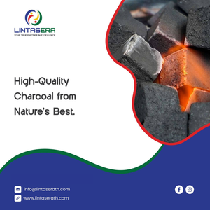 Charbon à chicha en coquille de noix de coco, haute qualité de Thaïlande, vente en gros, 100% naturel, Lintas Era - Product Image 6