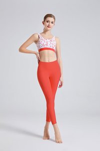 Soutien-gorge imprimé et legging Yoga Suits Séchage rapide Taille haute Running Fitness Sets High Impact Sports Bra Leggings Set - Product Image 5