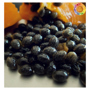 เมล็ดมะละกอทางการเกษตรเมล็ดมะละกอแห้งทำความสะอาดเมล็ดมะละกอแห้ง | สมุนไพรชาสมุนไพรเมล็ดมะละกอแห้ง - Product Image 3