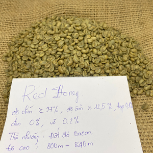 Robusta-granos de café verdes de calidad superior, 16 bolsas de yute de un solo origen vietnamita, procesamiento de miel roja, 60kg - Product Image 3