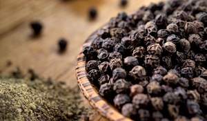 Top Grade Vietnamese Dried <b>Black</b> <b>Pepper</b> Premium Export-Grade Spice, Rich Aroma, Perfect for Culinary Use and Global Distribution - Product Image 2