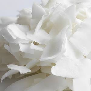 [Keith Vilaconic] มะพร้าวอบแห้งเกรดพรีเมียม ไขมันสูง – มะพร้าวอบแห้งคุณภาพสูงสำหรับอุตสาหกรรมเบเกอรี่และอาหาร - Product Image 6