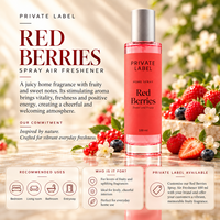 Désodorisant en spray aux baies rouges, marque privée, 100 ml |   Parfum fruité sucré longue durée |   Fabricant OEM Espagne