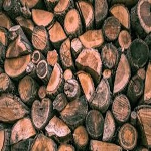 Premium Quality <b>Woods</b> Firewood <b>Logs</b>-Oak Ash Pine Birch Dried Oak and Beech <b>for</b> <b>Sale</b> - Product Image 5