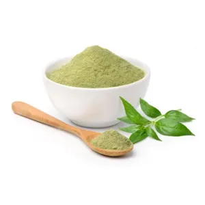 High Quality Wholesale Food Grade 100% Pure Natural Andrographis Paniculata Herbal Extract Powder from Indian Supplier