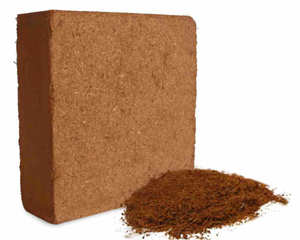 Milieu de culture en poudre de coque de noix de coco fine, écologique et durable, avec une durée de conservation de 12 mois, pour l'agriculture professionnelle et l'horticulture - Product Image 3