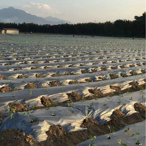 Film de paillis plastique agricole avec trous de plantation Barrière de contrôle de l'herbe de jardin Film de paillage paysager pour serre - Product Image 3