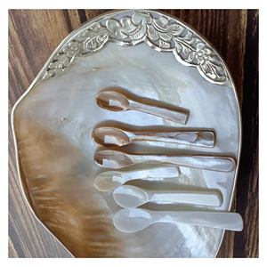 Mother Of Pearl Spoon Polished mother of pearl spoon for <b>sugar</b> bowls condiment jars and serving sets Vietnam - Product Image 4
