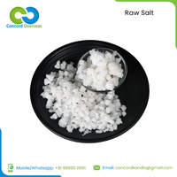 Superior Raw Granulated Sea Salt for Wholesale | Food Grade | Natural Source | Best for Food Processing Plants