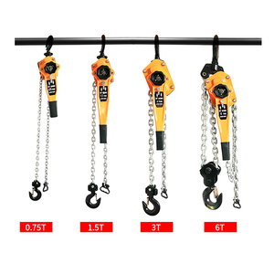 Nâng Hạng Nặng 1.5 Mét Hoặc Tùy Chỉnh 0.75T Kèm Theo Cần Gạt Vận Hành Bằng Tay - Product Image 4