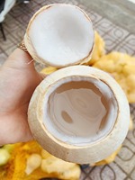 Coco joven pulido y fresco, listo para beber, exportado de Vietnam, fabricante de cocos