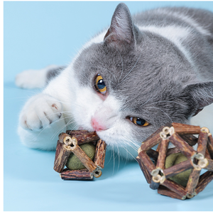 Palle di erba gatta di montagna e bastoncini di presa in giro in legno divertente simpatico simpatico cartone animato classico giocattoli per la dentizione per gatti - Product Image 2