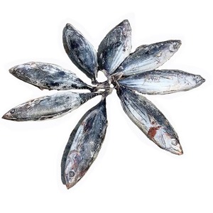 Longe précuite congelée Bonite Longes de thon Filet de poisson sans peau et désossé Flocons de fruits de mer à nageoires jaunes En vrac Exportateur 25kg - Product Image 2