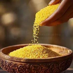 Bulk <b>millet</b> from Thailand High quality natural grain Healthy <b>millet</b> grain bulk Natural <b>millet</b> supply - Product Image 2