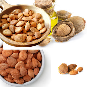 <b>Apricot</b> <b>Kernels</b> | Natural Bitter Nuts for Cosmetic and Skincare Brands - Product Image 2