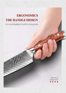 Venta al por mayor personalizado de alta calidad OEM ODM servicio profesional Damasco nuevo mango de resina roja Damasco acero cocina Chef cuchillo - Product Image 4