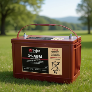 Batterie AGM Trojan 12V 100AH 31-AGM-Sealed Deep Cycle pour systèmes solaires, voiturettes de golf, onduleurs et bateaux - Product Image 2