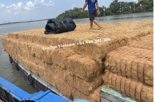 ราคาที่ดีที่สุดตามธรรมชาติเส้นใยมะพร้าวแห้ง/ ราคายางมะพร้าว/ ผู้ซื้อเส้นใยมะพร้าวจาก Eco2go Vietnam - Product Image 5