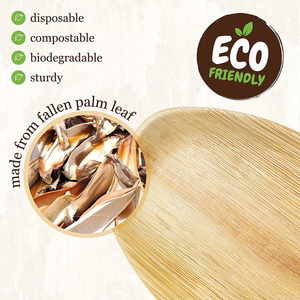 Assiettes Offre Spéciale en feuille de palmier rondes carrées alternatives robustes et écologiques aux assiettes jetables en feuille de palmier fabriquées au Vietnam - Product Image 4