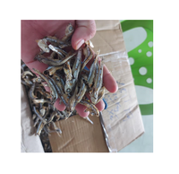 WHOLESALE BULK DRIED MEDIUM SIZE 4CM ANCHOVY FISH SALT-PRESERVED NATURE PIECE for FOOD