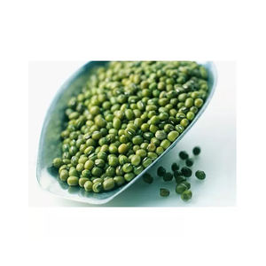 Wholesale Supplier Best Quality Green Mung <b>Beans</b> for Sale in Cheap Price - Product Image 5
