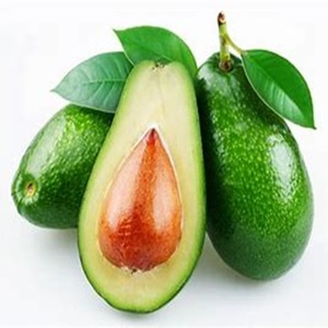 Gran oferta de aguacate Hass orgánico, variedad recién cultivada a los mejores precios - Product Image 3