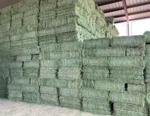 Descuento de venta superior Alfalfa Hay Bulk 25kg 100% Alimento animal de calidad pura para ganado y caballos Humedad 10% Proteína 15-16% - Product Image 3