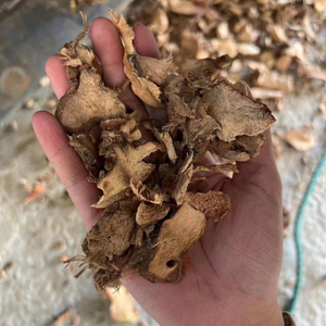 GALANGAL TRANCHÉ SÉCHÉ EN VRAC D'EXPORTATION-QUALITÉ SUPÉRIEURE, PRIX IMBATTABLES, 100% FABRIQUÉ AU VIETNAM - Product Image 5