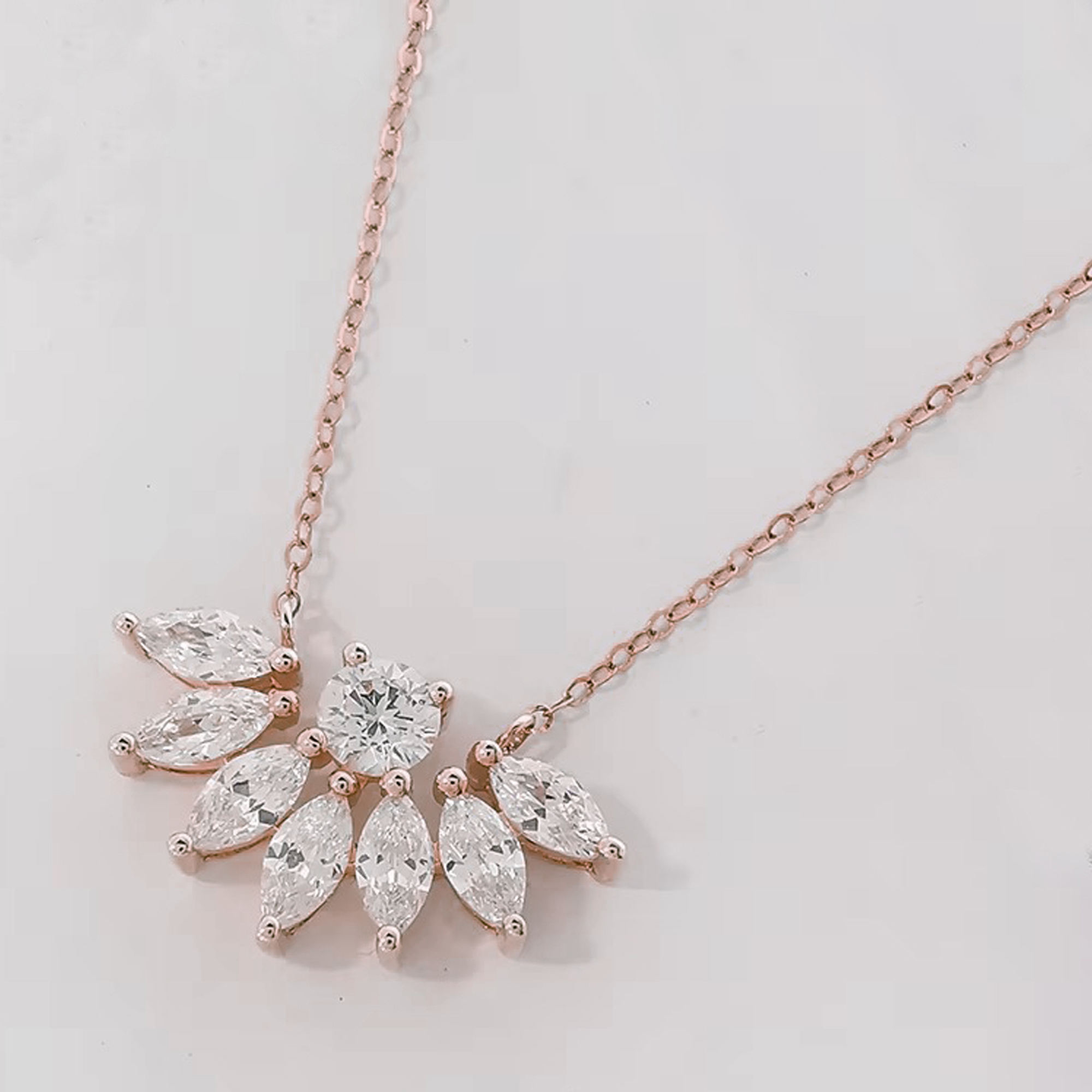 กุหลาบต้นแมดเด