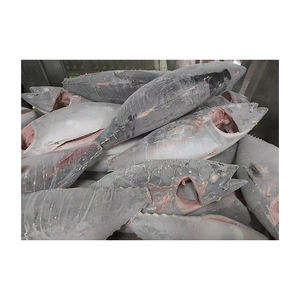 Atún amarillo congelado de primera calidad, disponible para compradores al por mayor con entrega rápida. - Product Image 1