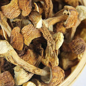 Tranches de champignons Agaricus Blazei Murrill séchés par le fabricant, faibles en calories - Product Image 5