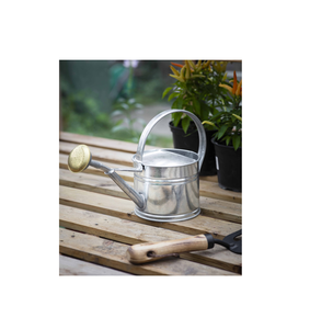 Pot d'arrosage décoratif en métal pour plantes, arrosoir manuel de jardin pour plantes, arrosoir de stockage pour plantes aquatiques à fleurs avec vente - Product Image 5