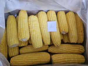 Sticky Corn Premium <b>Frozen</b> Kernel Corn Sweet Corn Cob from Vietnam Supplier - Caryln 0084935825297 - Product Image 6